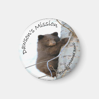 NLWSドーソン磁石 マグネット