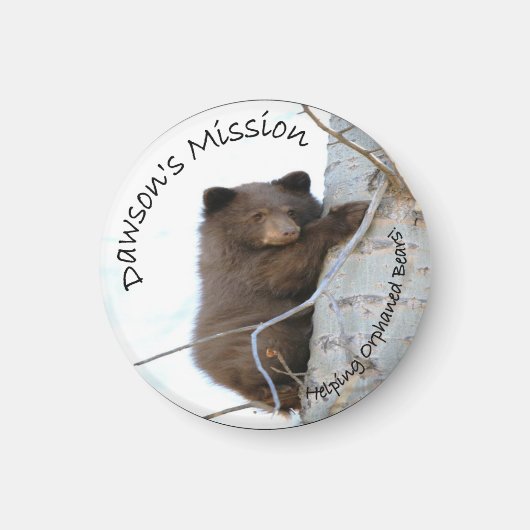 NLWSドーソン磁石 マグネット (正面)