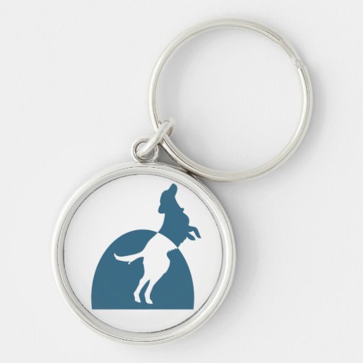 NMDR円形のKeychain キーホルダー (正面)