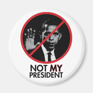 NMP磁石 マグネット