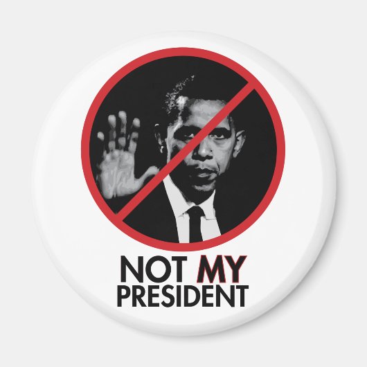 NMP磁石 マグネット (正面)