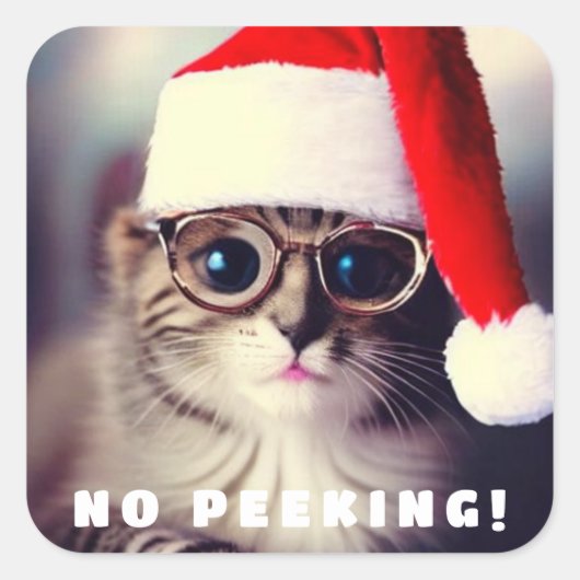 Noピーククラシックラウンドステッカー スクエアシール (正面)