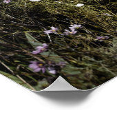 No 1444 Queen St E 2カラーバージョン ポスター (角)