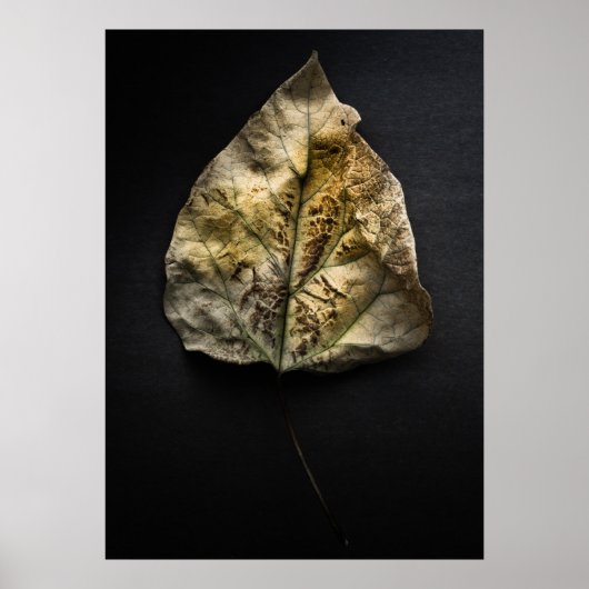 No.1 葉の色彩バージョン ポスター (正面)