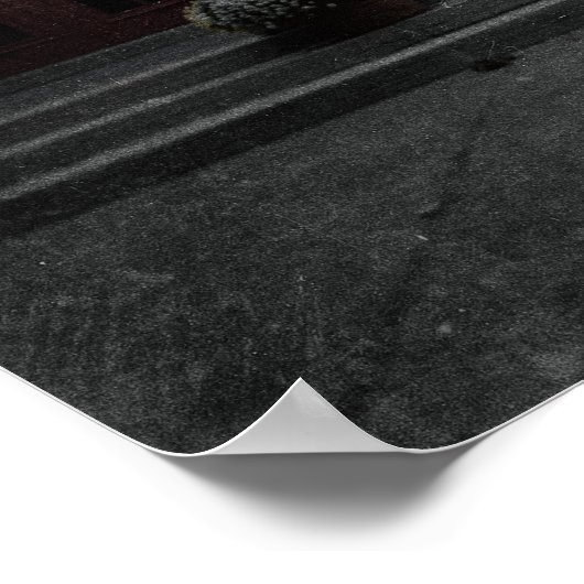 No 26 Delisle Ave 2旧版 ポスター (角)