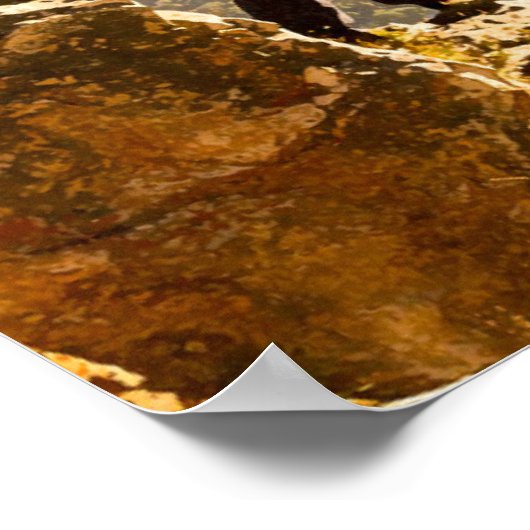 No All Who Wander Are Lost Posters ポスター (角)