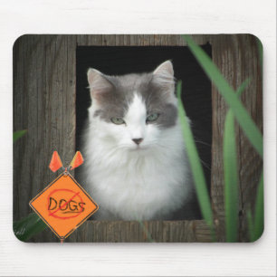 No Dogsゾーン子猫 マウスパッド