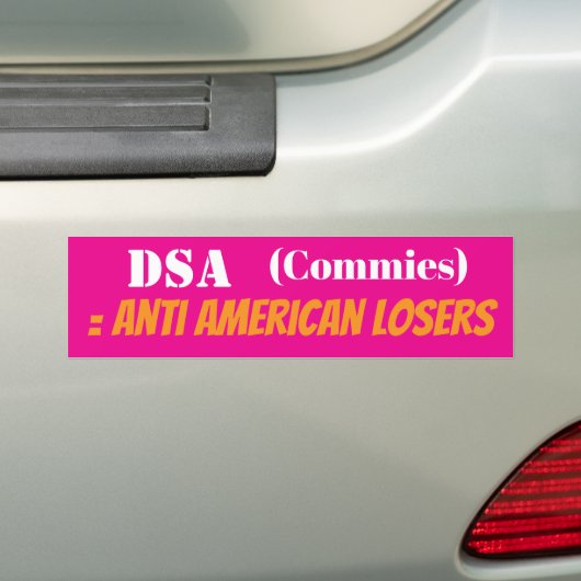 NO DSA ステッカー (車上)