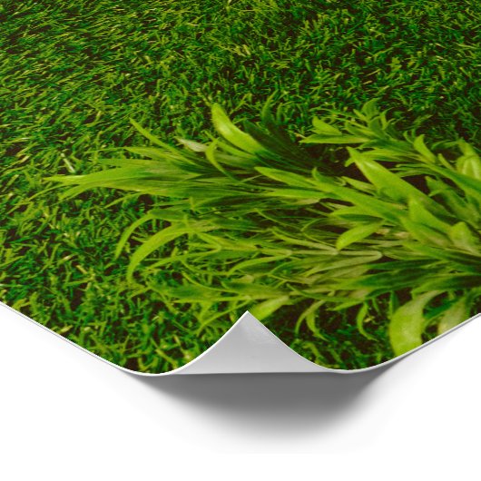 No goals, no stress. Anti Motivational ポスター (角)