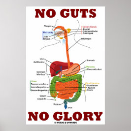 No Guts No Glory （消化器系の解剖学） ポスター
