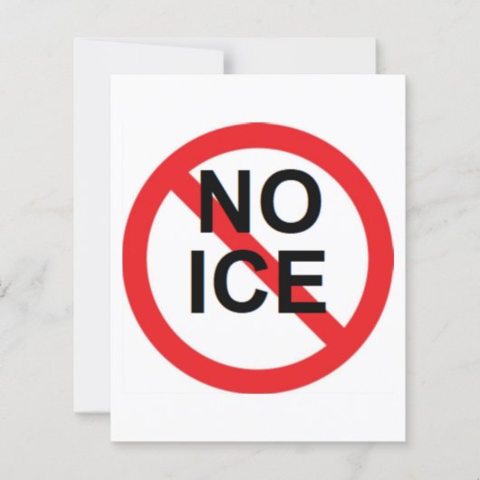 NO ICE  (正面)