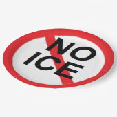 NO ICE  ペーパープレート (アングル)