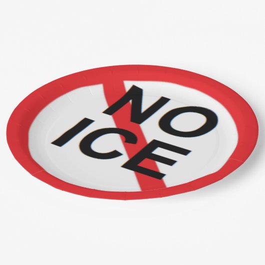 NO ICE  ペーパープレート (アングル)