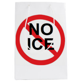 NO ICE  ミディアムペーパーバッグ