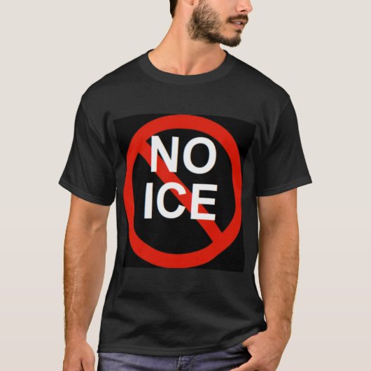 NO ICE  Tシャツ (正面)
