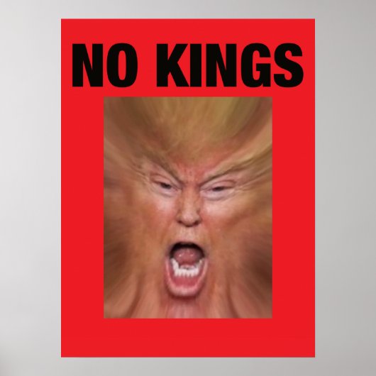 NO KING Dump Trump ポスター (正面)