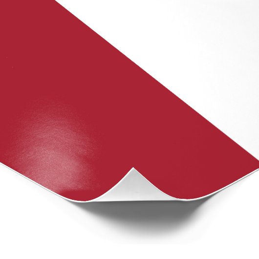 NO KINGS! Anti-Trump Flag ポスター (コーナー)