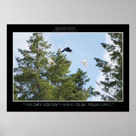 "NO LIMITS"フォトプリントまたはポスター ポスター (正面)