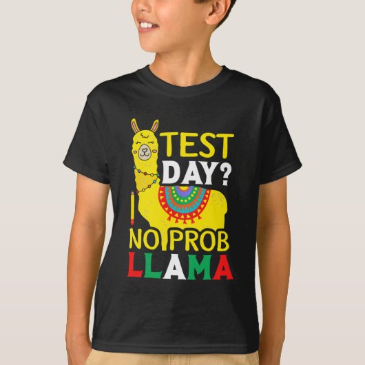No Prob-llama先生教え試験 Tシャツ (正面)