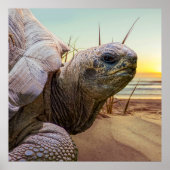 No Rush ポスター (正面)