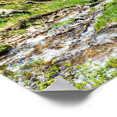 No Trails to the Top // Blissful Beauty ポスター (角)