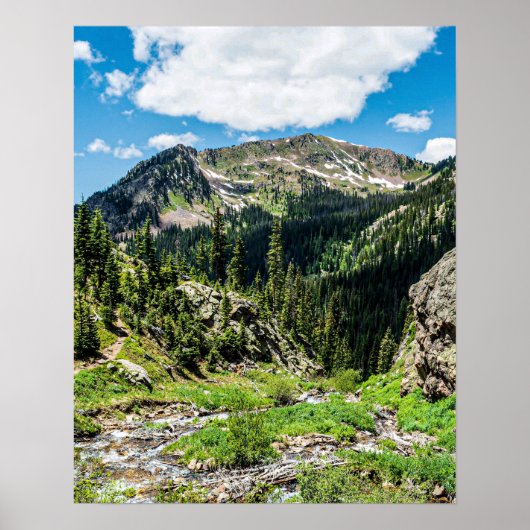 No Trails to the Top // Blissful Beauty ポスター (正面)