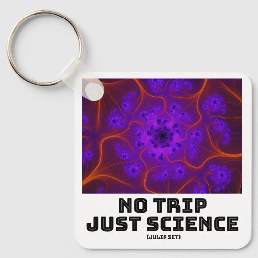 No Trip Just Science Mandelbrot Julia Set Fractal キーホルダー (正面)