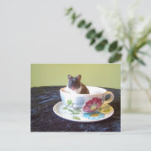 noah 2はがき ポストカード (スタンド正面)