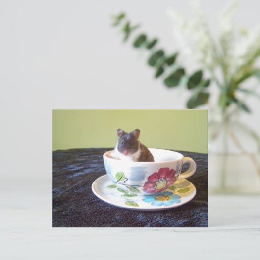 noah 2はがき ポストカード (スタンド正面)