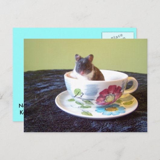 noah 2はがき ポストカード (正面/裏面)