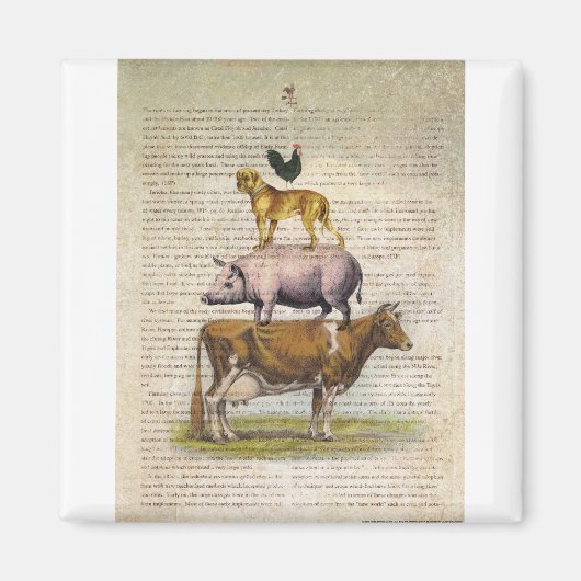 NOB10ファームスタンドA1.tif マグネット (正面)