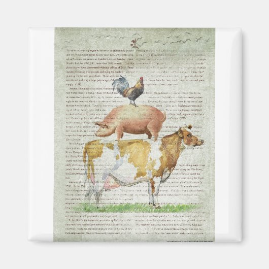 NOB11ファームスタンドB1.tif マグネット (正面)