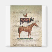 NOB12ファームスタンドC1.tif マグネット (正面)