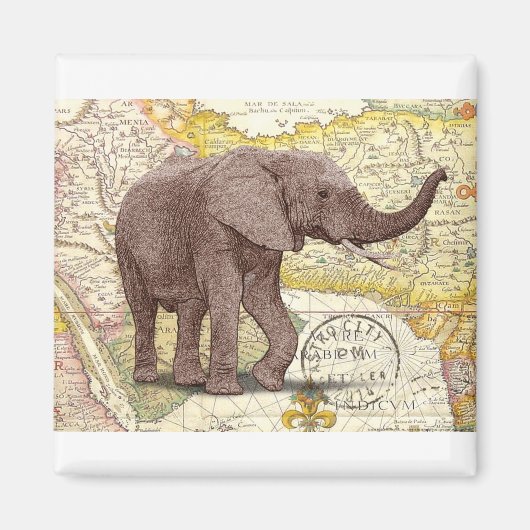 NOB173トランク1.tif マグネット (正面)