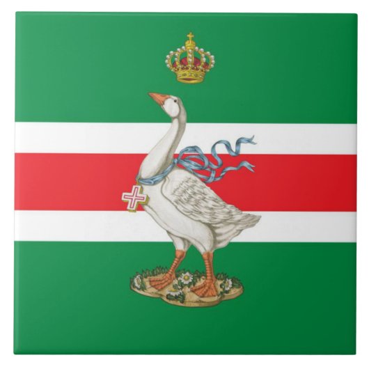 Nobile Contrada dell' Oca (Goose) Palio タイル (正面)