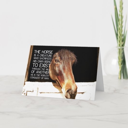 NOBLE STALLION Greeting Card サンキューカード (正面)