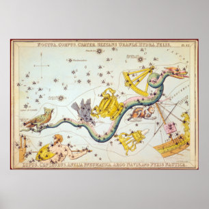 Noctua、corvus、クレーターなど ポスター