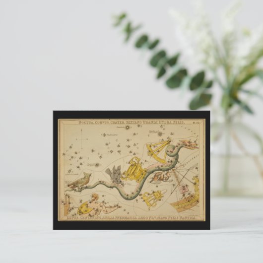 Noctua, Corvus, Hydra, Felis, Lupus, Centaurus, &c ポストカード (スタンド正面)