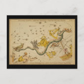 Noctua, Corvus, Hydra, Felis, Lupus, Centaurus, &c ポストカード (正面)