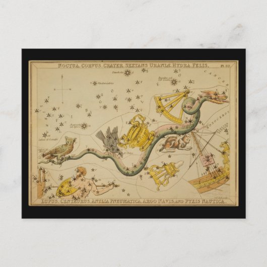 Noctua, Corvus, Hydra, Felis, Lupus, Centaurus, &c ポストカード (正面)
