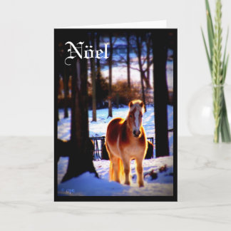 Nöelの休日カード シーズンカード