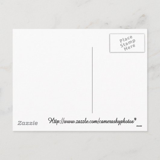 noelの雪だるまカード シーズンポストカード (裏面)