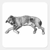 Noel Stretch, Long and Light スクエアシール (正面)