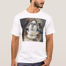 NoesNoToes Tシャツ