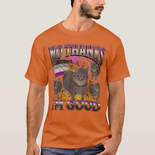 Nohanks Im Good Funny Aseual Lgbtq Cat Meme Bootle Tシャツ (正面)