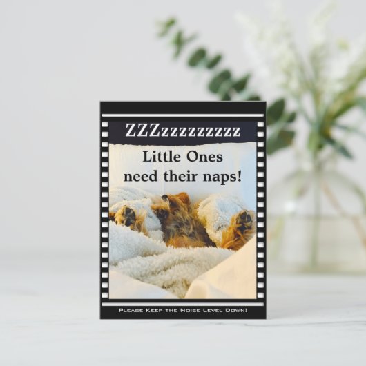 Noise 保 Level Downヨークシャーテリアはがき ポストカード (スタンド正面)