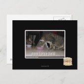 nomフォースフィールド ポストカード (正面/裏面)