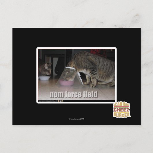 nomフォースフィールド ポストカード (正面)