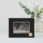 nomフォースフィールド ポストカード (スタンド正面)