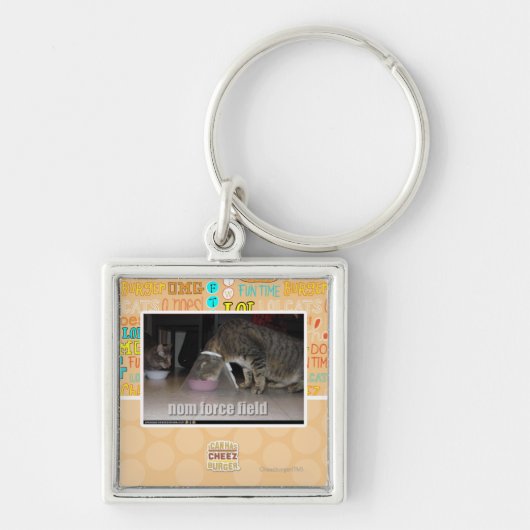 nom力分野 キーホルダー (正面)